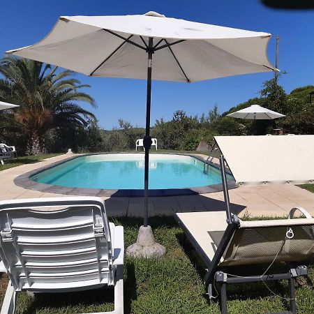 Agriturismo Poggio Al Tesoro Crespina Eksteriør billede