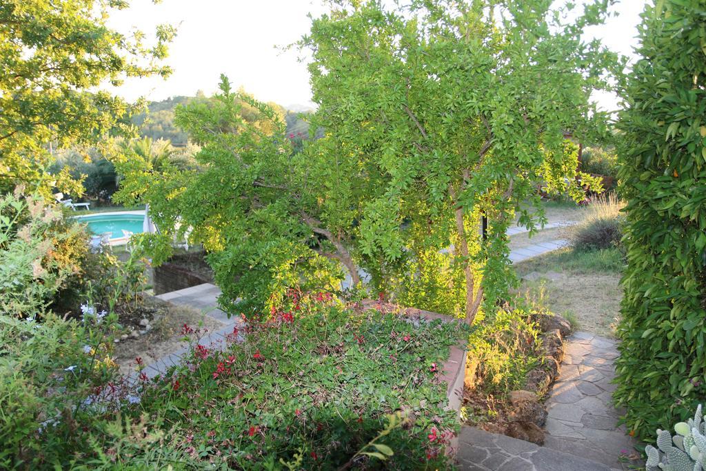 Agriturismo Poggio Al Tesoro Crespina Eksteriør billede