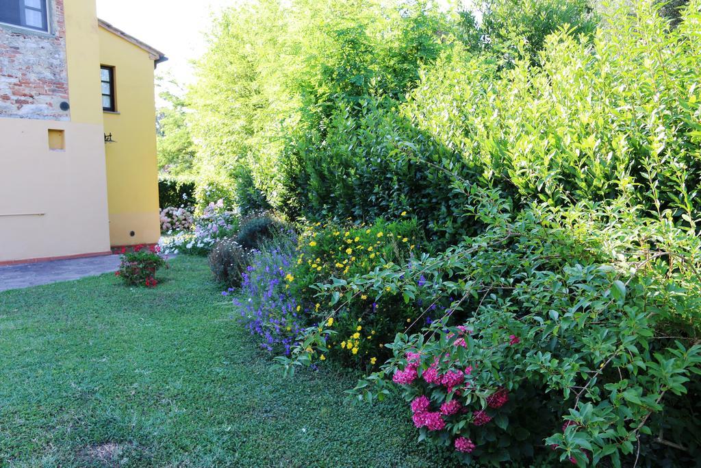 Agriturismo Poggio Al Tesoro Crespina Eksteriør billede